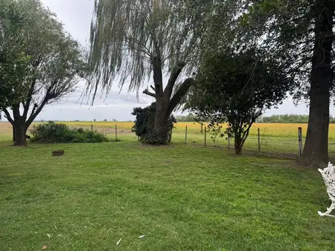 Campo con gran casco - Gran casa principal