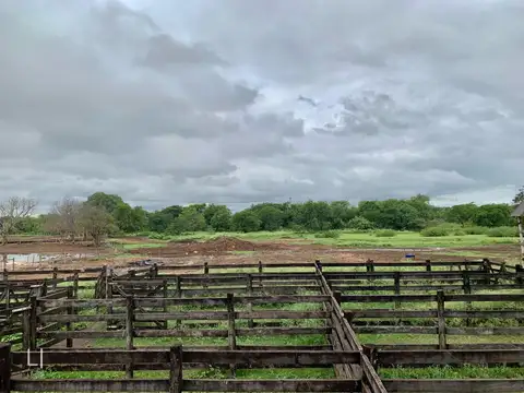 Gral. Bernardino Caballero