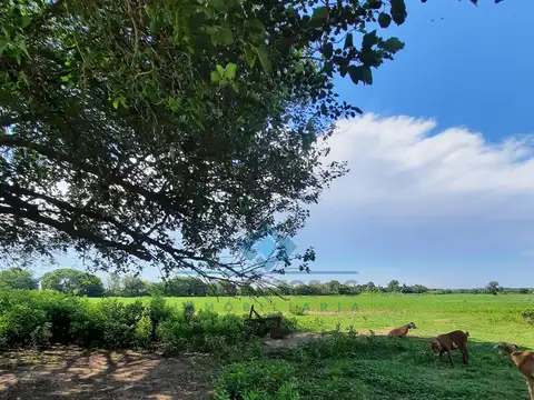 Quinta en Venta 2024 años