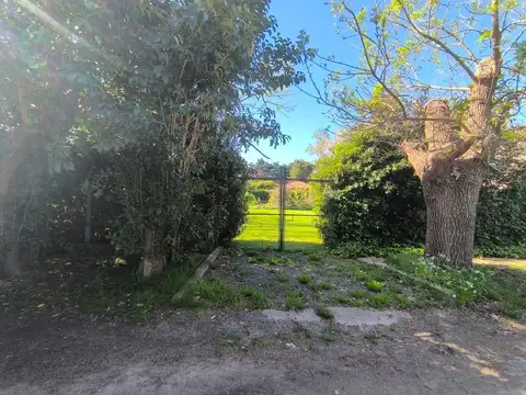 8 y 56 Villa Elisa