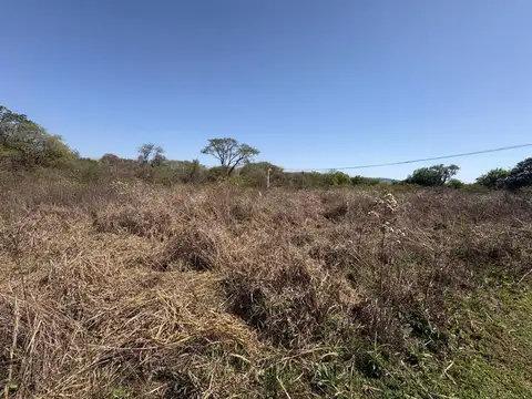 Terreno en Venta de 1301,0 m2