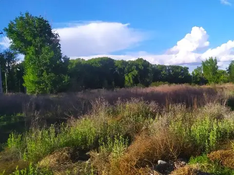 Terreno en Venta de 750,0 m2