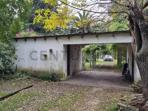 310 Entre 50 y 302 , Piso 0