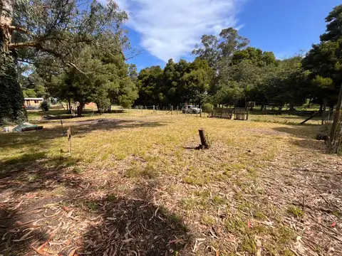 Terreno en Venta 31  mts Fondo