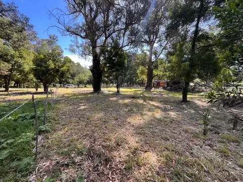 calle 429 Bis entre calle 26 y calle 28