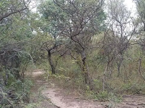 Terreno en Venta en San Marcos Sierra, USD 70.000