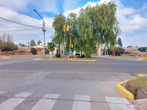 La Colonia 100