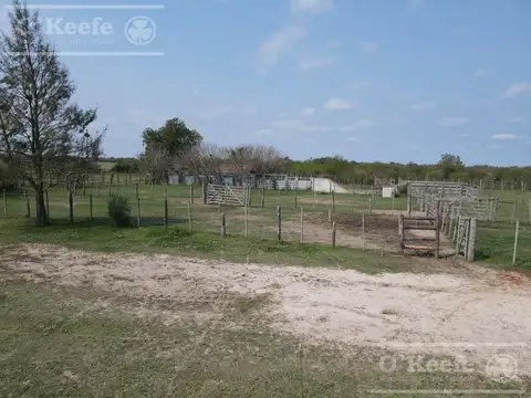 Campo Ganadero en venta - Calchaqui 1200 Has - Con frente sobre ruta