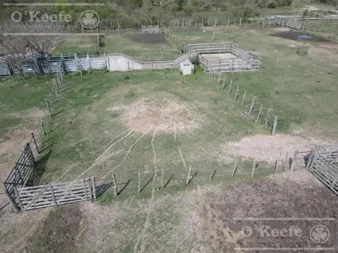 Calchaqui 1200 has ganaderas - Con frente sobre Ruta de ripio.