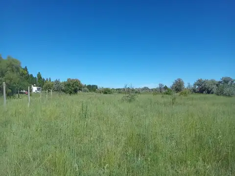 ALQUILER DE CHACRA 6 HECTAREAS