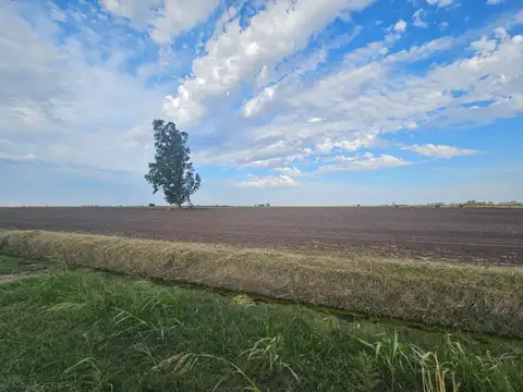 VENDE CAMPO AGRICOLA - SAN JERONIMO SUD