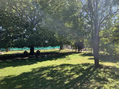 Terreno en Venta 27  mts Fondo