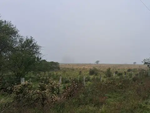 Estacion Yerua - Campo Forestal / Ganadero