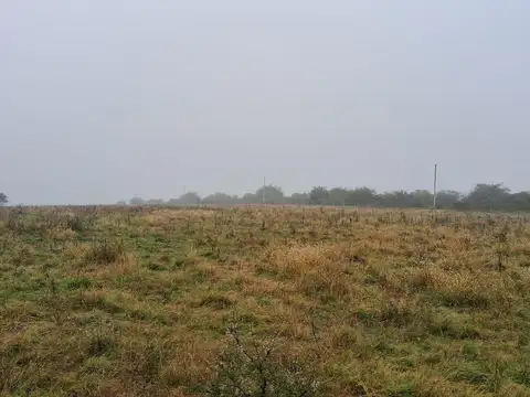 Estacion Yerua - Campo Forestal / Ganadero