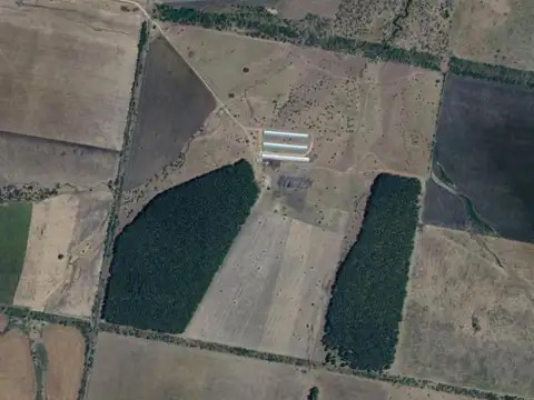 Estacion Yerua - Campo Forestal / Ganadero