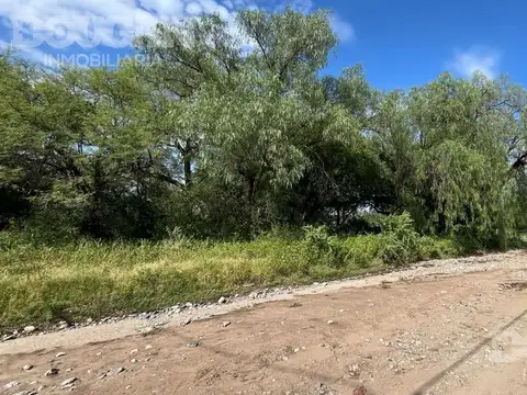 Terreno en Venta 40  mts Fondo