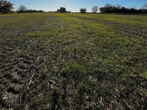 av. pavon s/n camino a los cardales