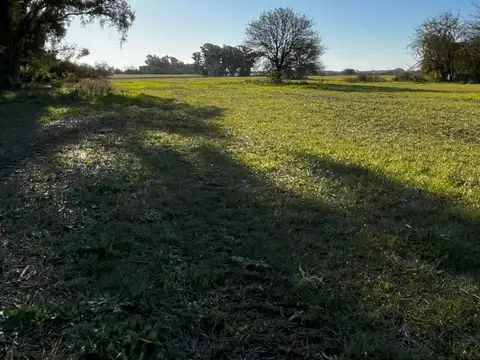 av. pavon s/n camino a los cardales