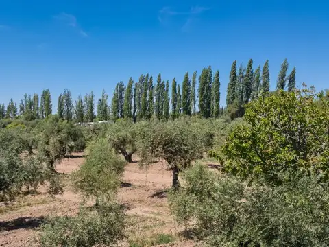Finca en Venta, Russell, Maipú