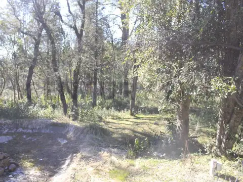 Osa Mayor 1000, Piso 0
