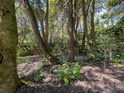 Venta Lote Villa La Angostura