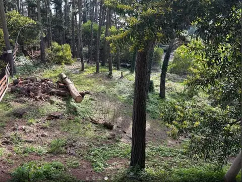Terreno en Venta de 289,0 m2