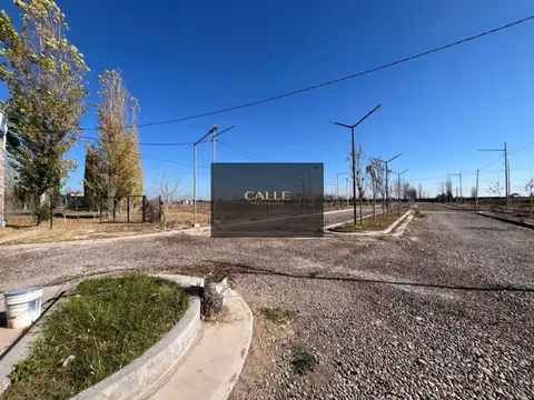 alamos