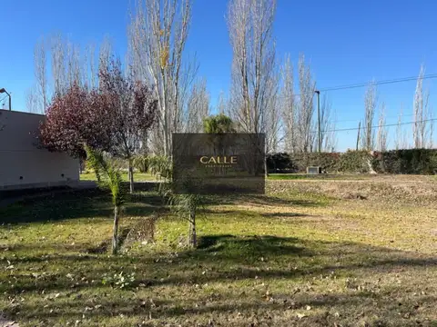 Terreno en Venta 15  mts Fondo