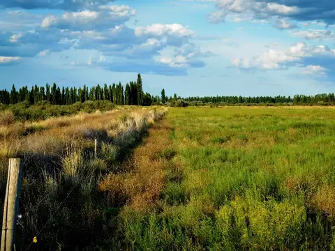 Campo en Venta Mixto