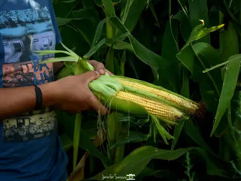 Chacra 240 Has a 10km Gral. Conesa