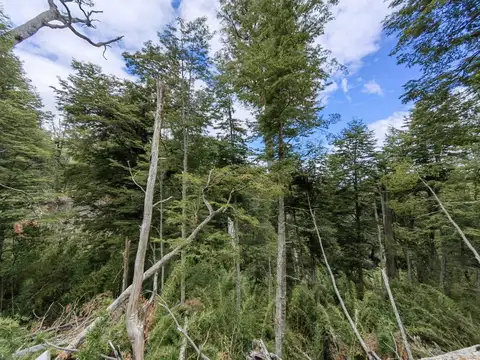 Ámbar, Villa la Angostura