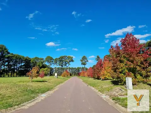 Pinares Country Club
