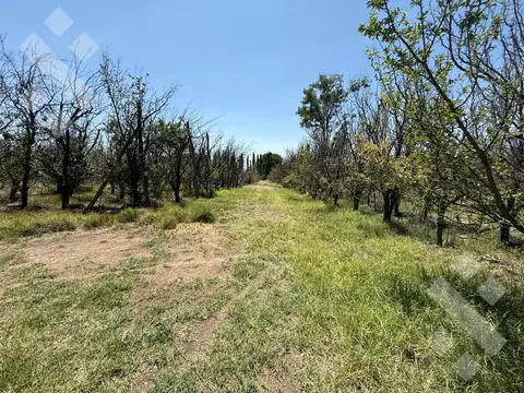 Venta 9 Hectáreas en Plottier Neuquen