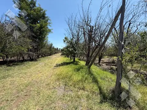 Venta 9 Hectáreas en Plottier Neuquen