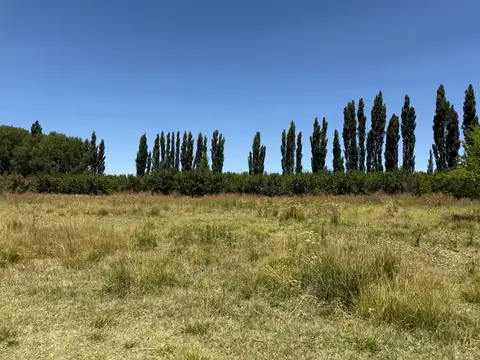 Venta 9 Hectáreas en Plottier Neuquen