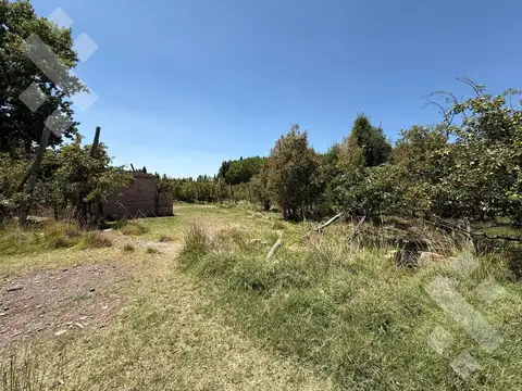 Venta 9 Hectáreas en Plottier Neuquen