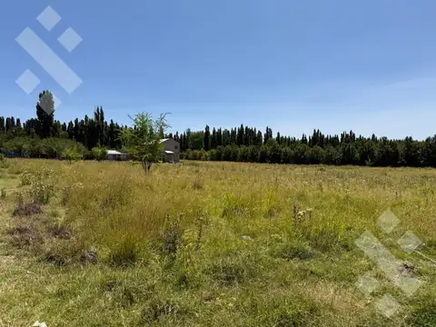 Venta 9 Hectáreas en Plottier Neuquen