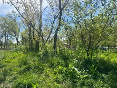 Sarmiento