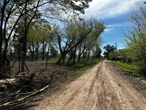 Sarmiento