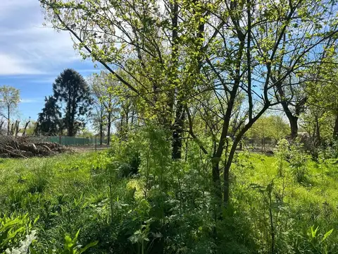 Terreno en Venta de 1000,0 m2