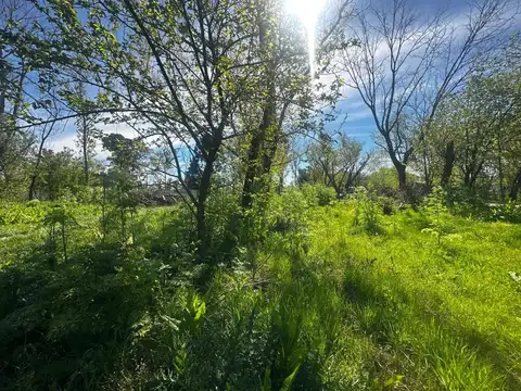 TERRENO VENTA LOS PINOS EXALTACION DE LA CRUZ