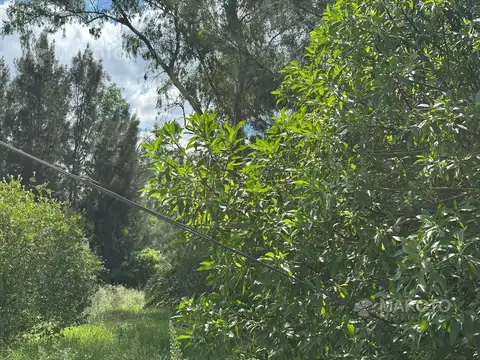 Lote en Venta en Maschwitz - La Pista - MAROTO PROPIEDADES