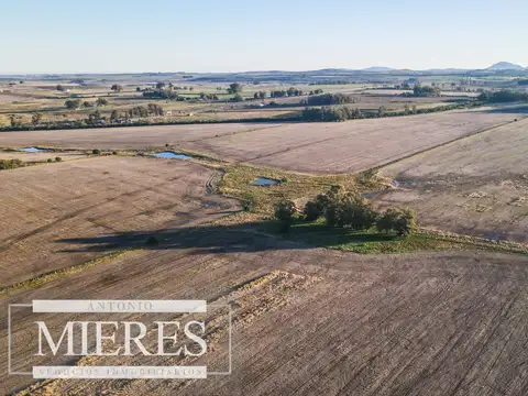 Campo en venta de 33 ha Próximo a laguna del Sauce
