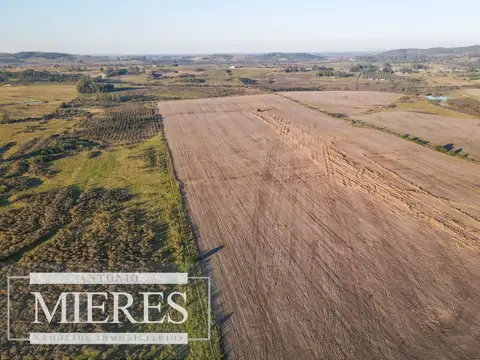 Campo en venta de 33 ha Próximo a laguna del Sauce