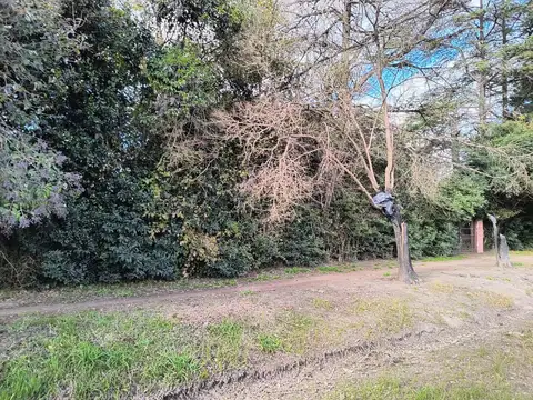 Av. Nemesio Alvarez al 700