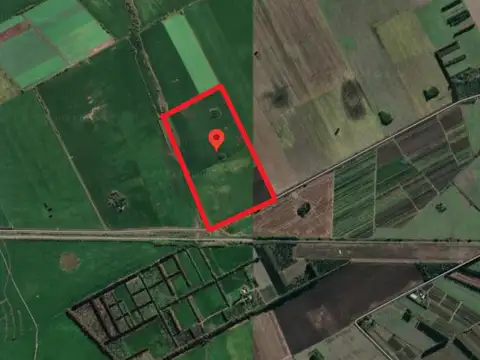 Campo de 21 HA / Camino Real Espinillo - Gobernador Castro, a 4 Km de acceso Mansilla