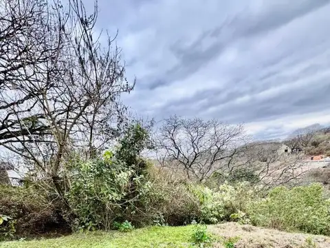 VENTA LOTE EN SAN LORENZO CHICO, 4000M2, LA AGUADA