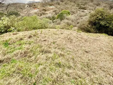 VENTA LOTE EN SAN LORENZO CHICO, 4000M2, LA AGUADA