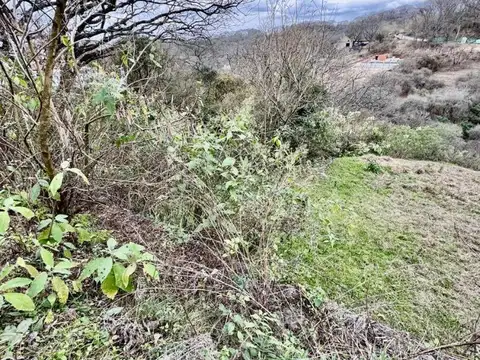 Terreno en Venta de 4000,0 m2