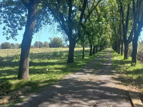 Terreno en Venta de 170000,0 m2